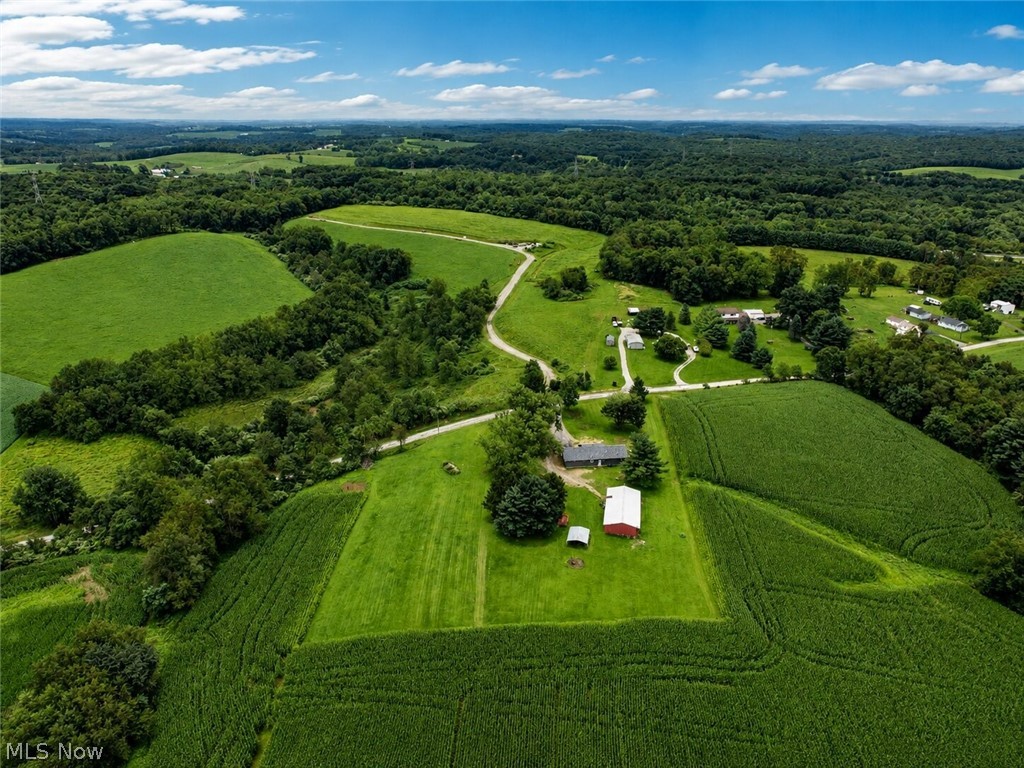11489 Roller Coaster Road Property Photo 42