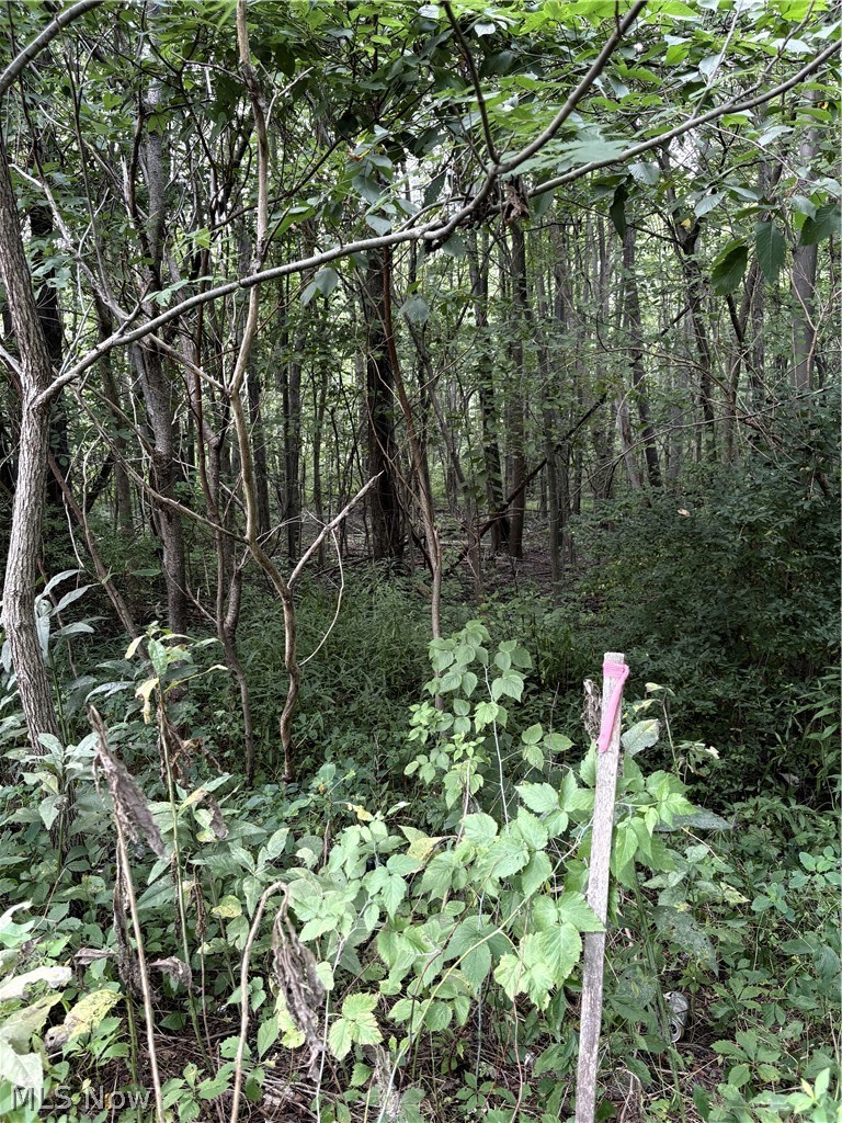 Center Road