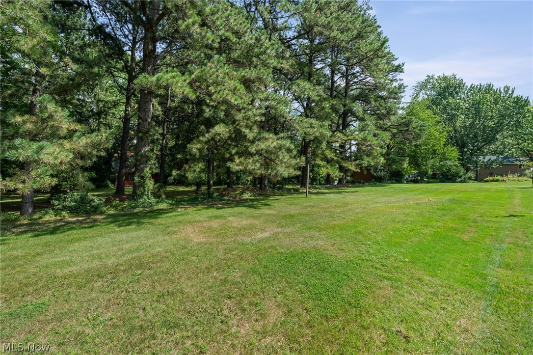 6217 Brookside Road Property Photo 28