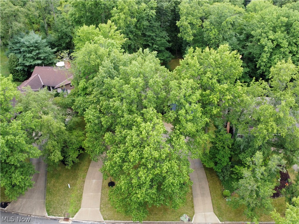 2260 Ridgewood Court Property Photo 37