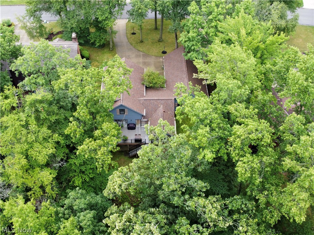 2260 Ridgewood Court Property Photo 38