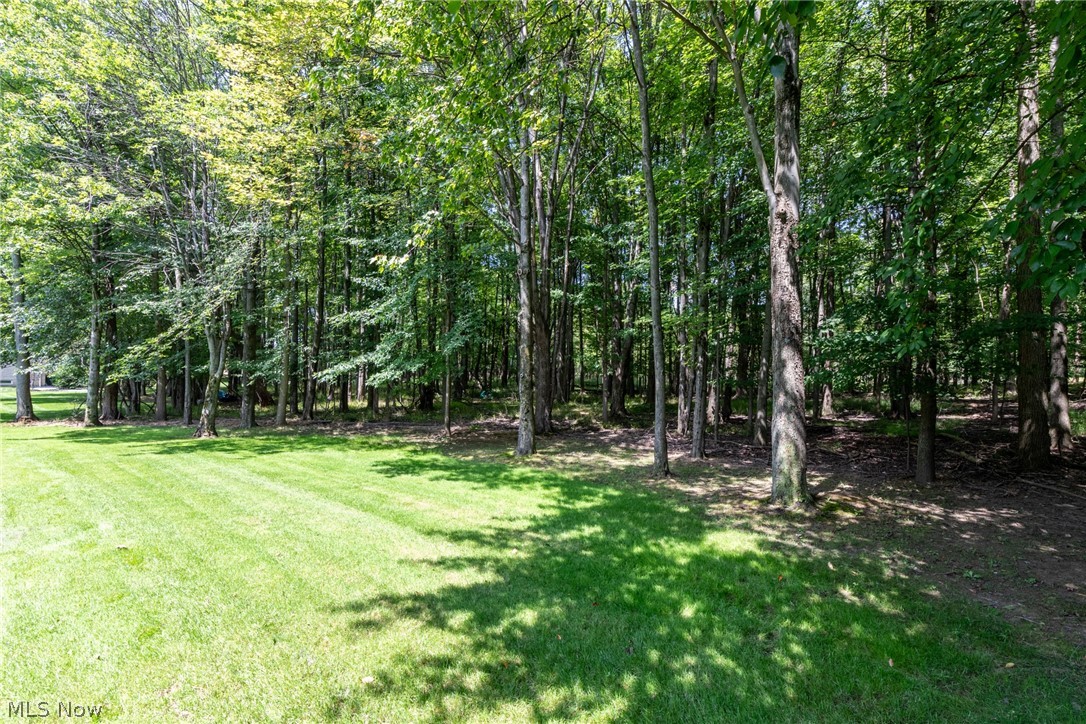 245 Jackson Drive Property Photo 39