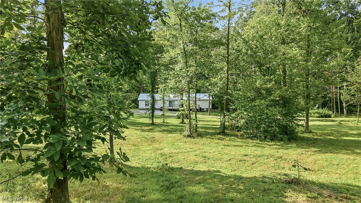 429 Hickory Grove Road Property Photo 4