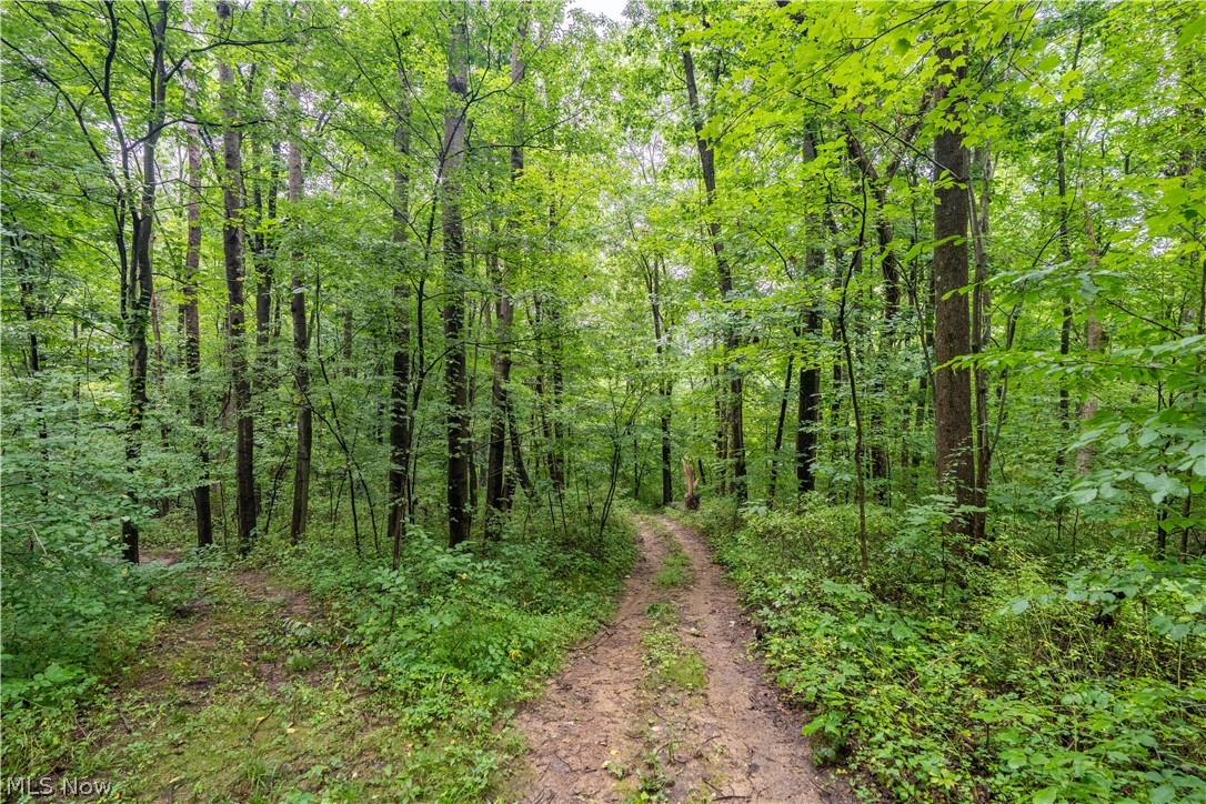 17881 Horseshoe Bend Road E Property Photo 19