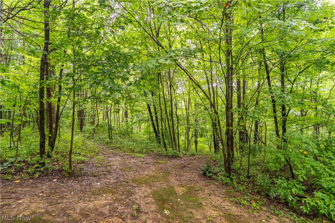 17881 Horseshoe Bend Road E Property Photo 20