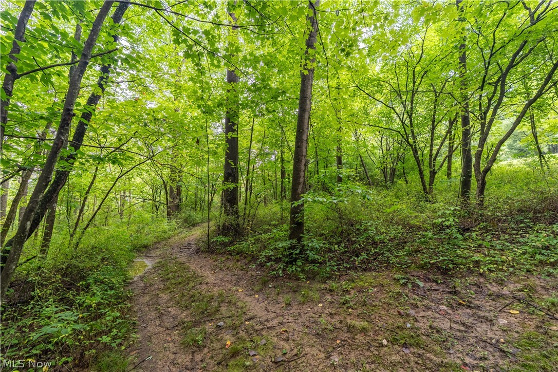 17881 Horseshoe Bend Road E Property Photo 23