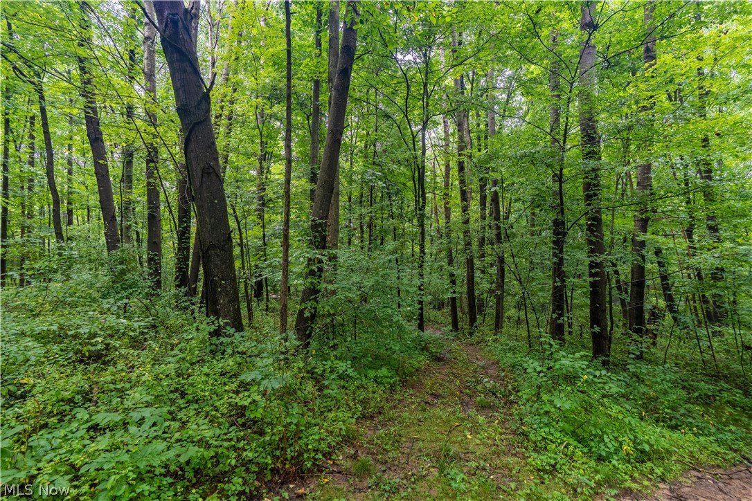 17881 Horseshoe Bend Road E Property Photo 24