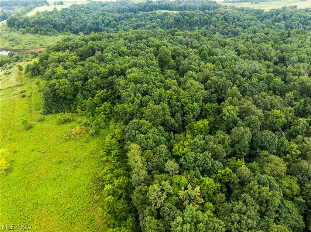 17881 Horseshoe Bend Road E Property Photo 28