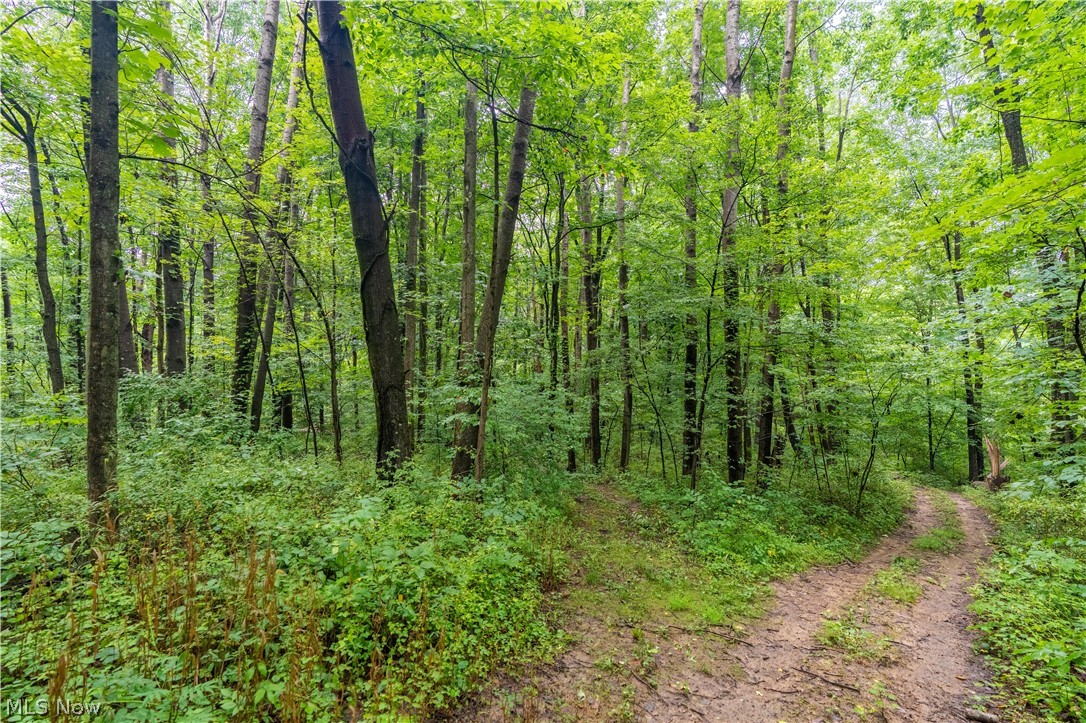 17881 Horseshoe Bend Road E Property Photo 29