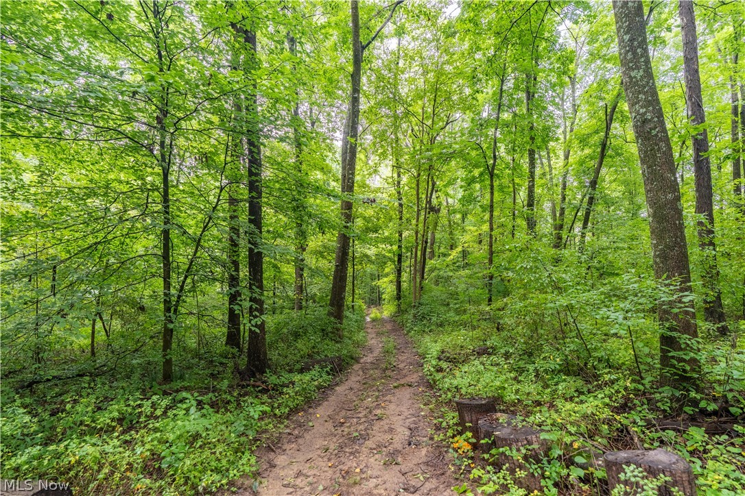 17881 Horseshoe Bend Road E Property Photo 30