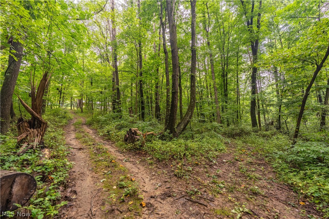 17881 Horseshoe Bend Road E Property Photo 31