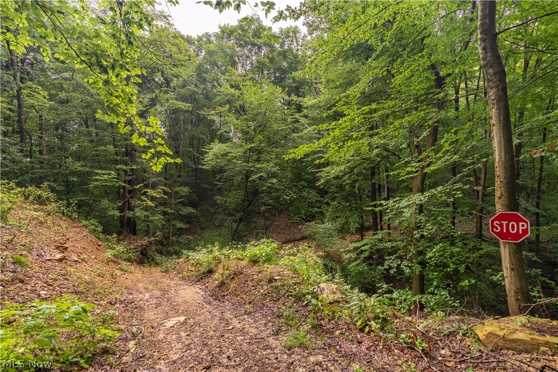 17881 Horseshoe Bend Road E Property Photo 36