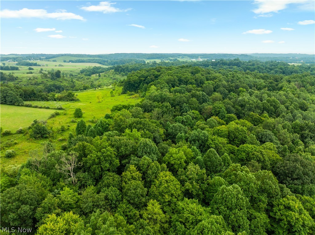 17881 Horseshoe Bend Road E Property Photo 39