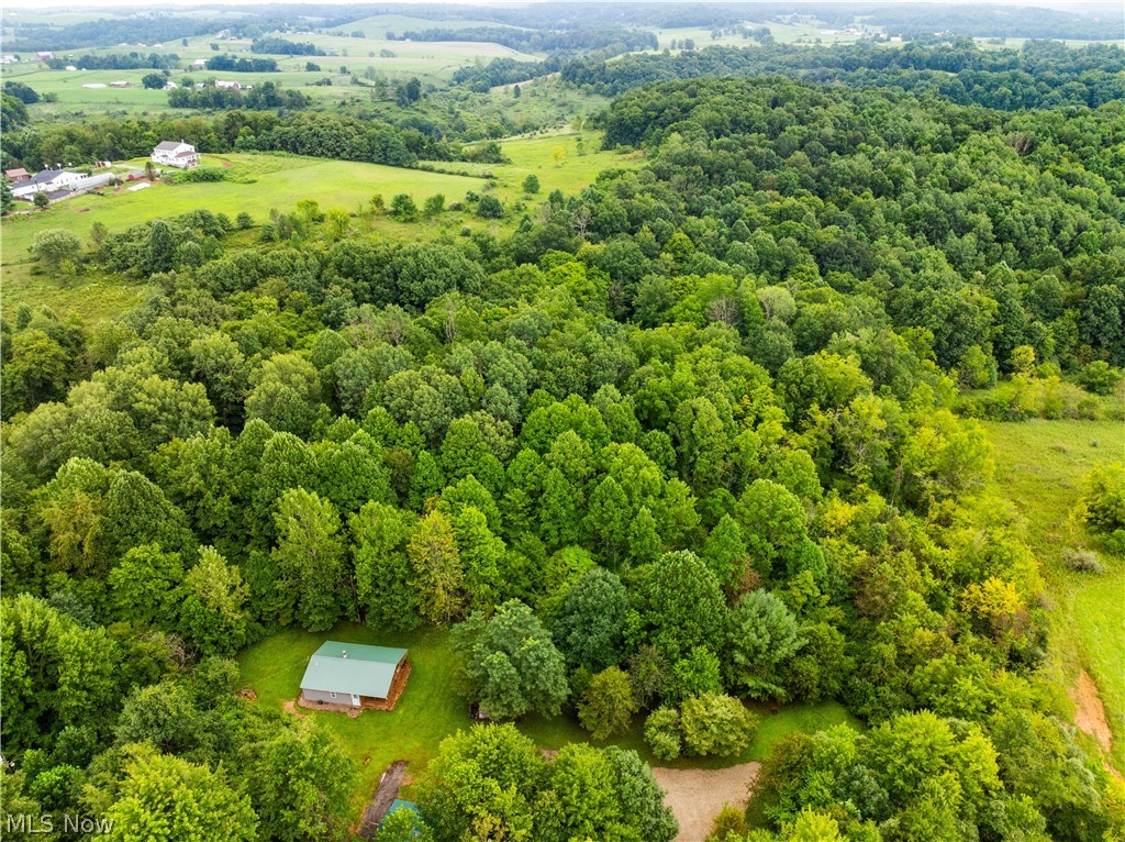 17881 Horseshoe Bend Road E Property Photo 41