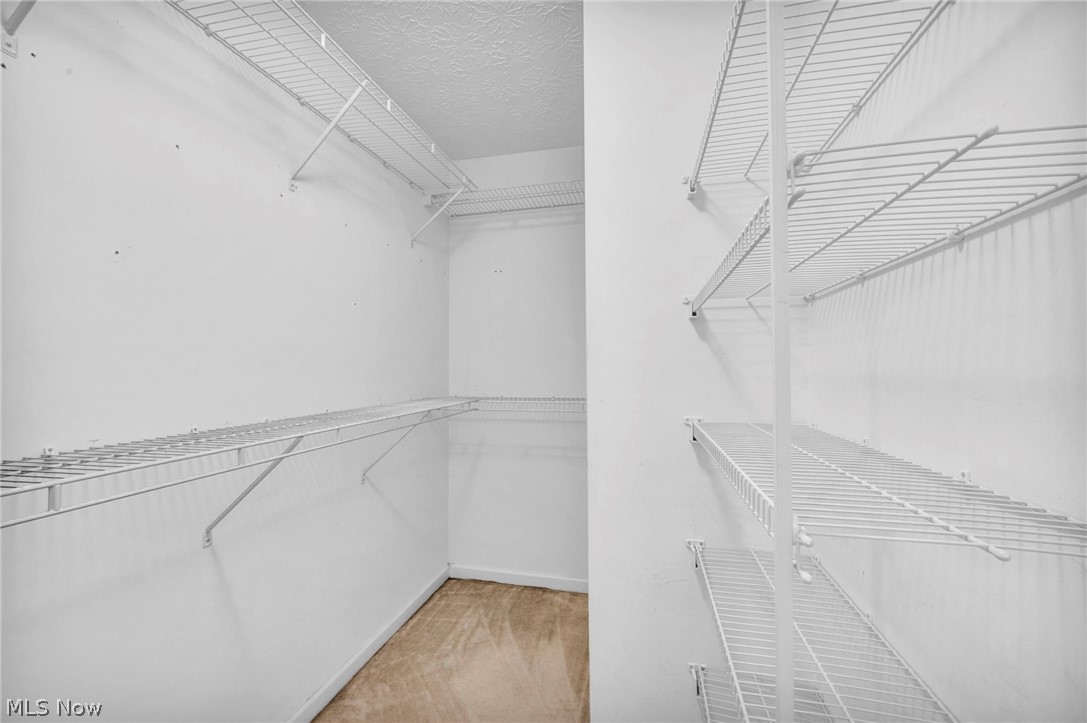920 Alder Run Way Property Photo 32
