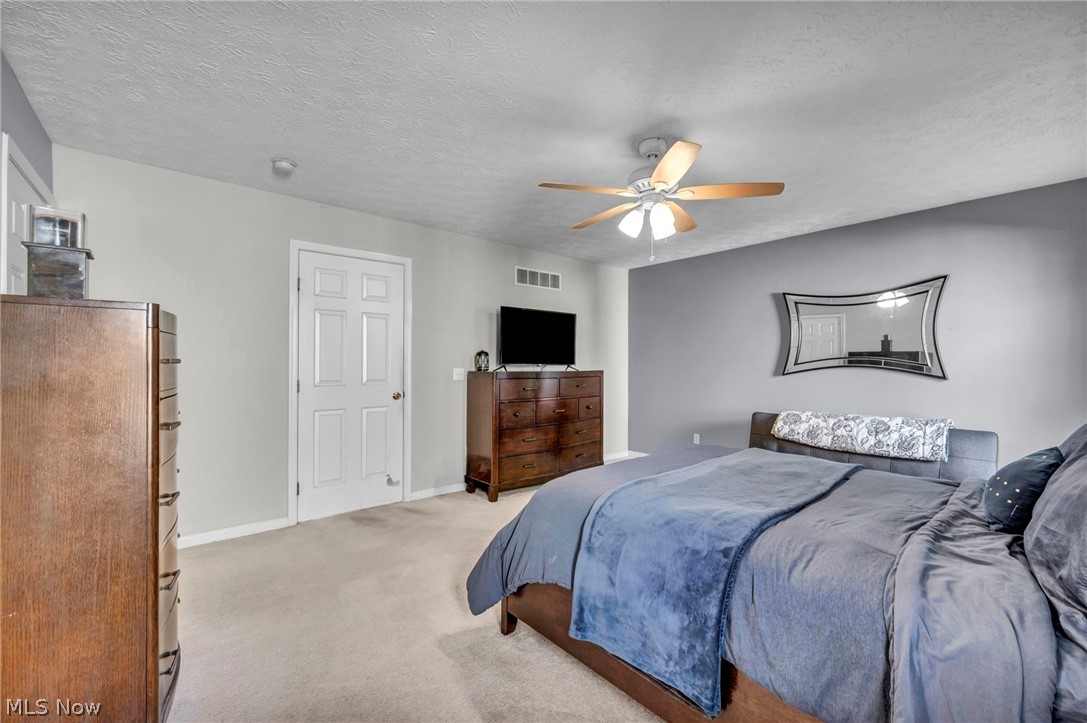 920 Alder Run Way Property Photo 34