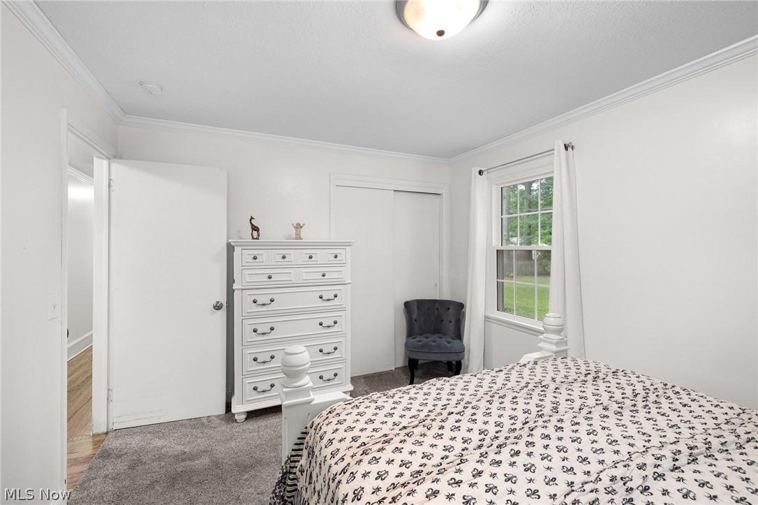 335 Vassar Avenue Property Photo 16