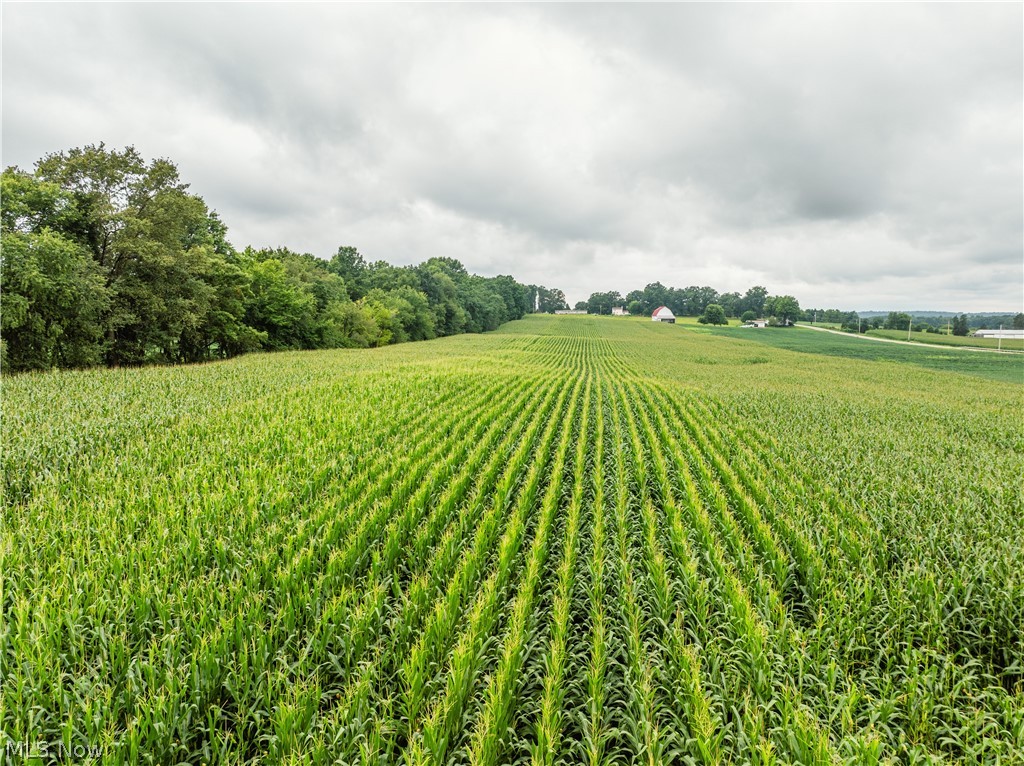 State Route 226 Property Photo 4
