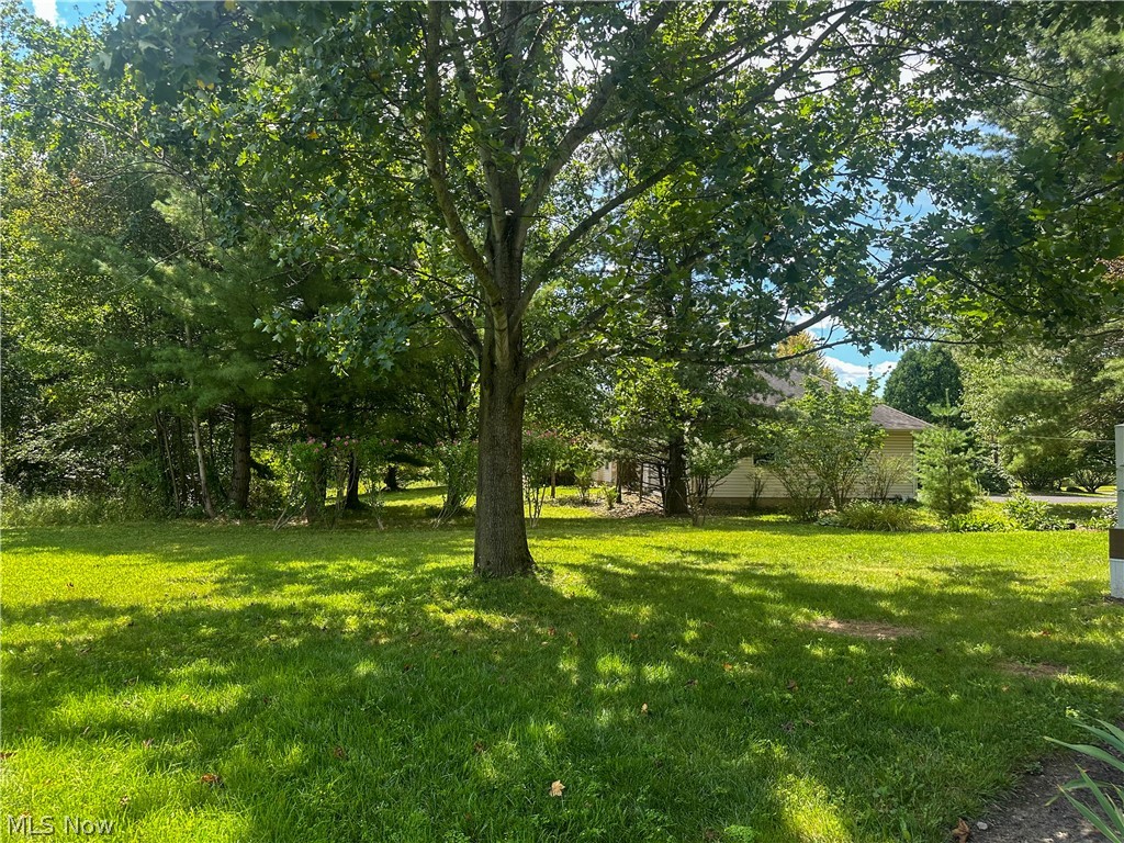 11 Mohawk Drive Property Photo 50