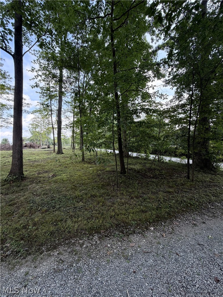 9299 Gilbert Road Property Photo 3