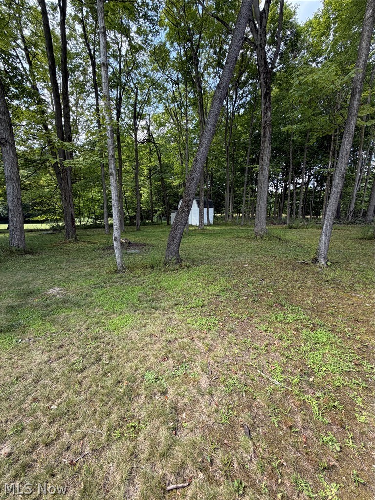 9299 Gilbert Road Property Photo 20