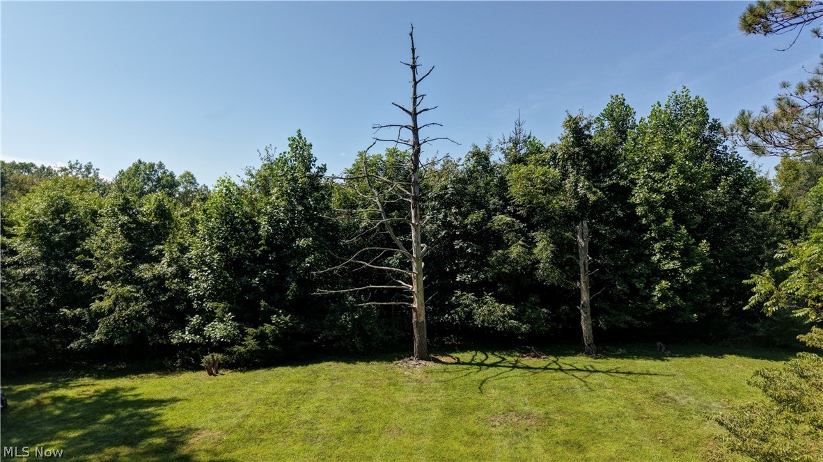 33111 Township Road 490 Property Photo 44