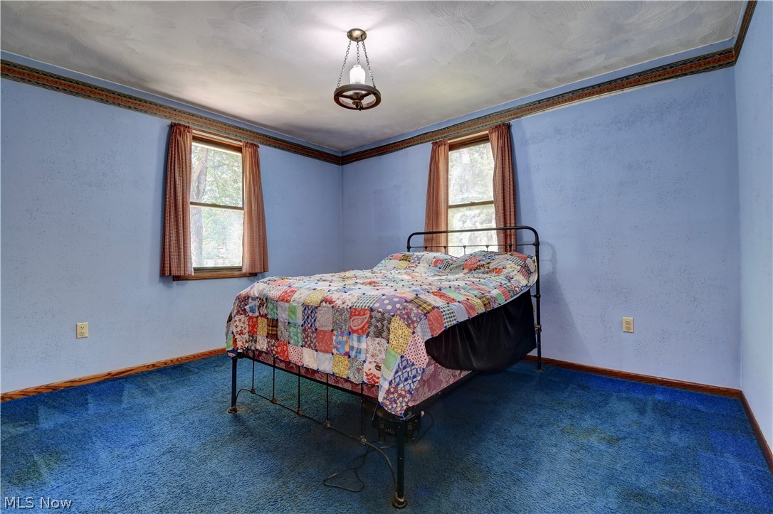 33111 Township Road 490 Property Photo 46