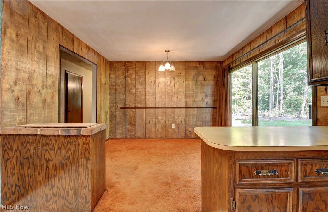 33111 Township Road 490 Property Photo 50