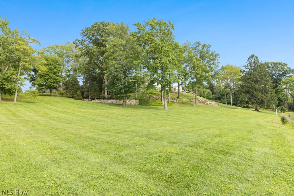 7585 Diagonal Road Property Photo 46