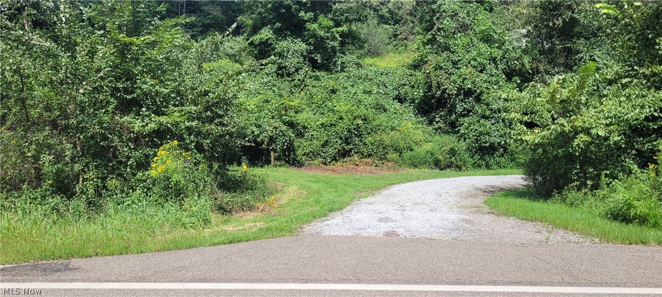 37760 Tappan Scio Road Property Photo 1