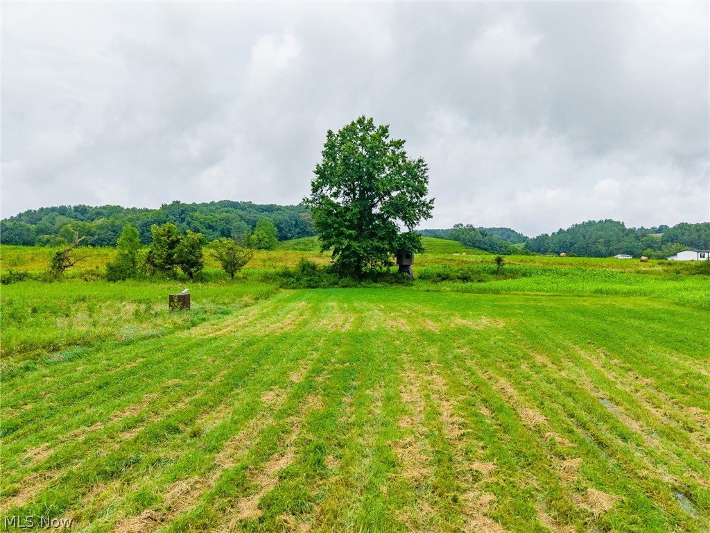 Pigeon Gap Road Property Photo 3