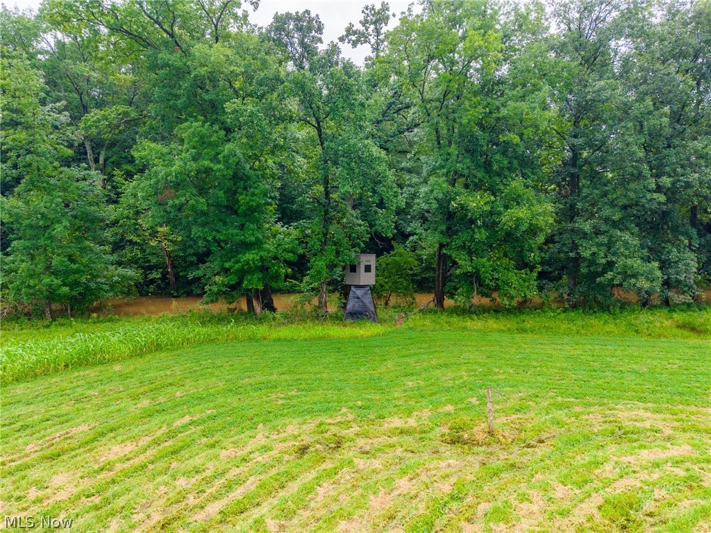 Pigeon Gap Road Property Photo 5