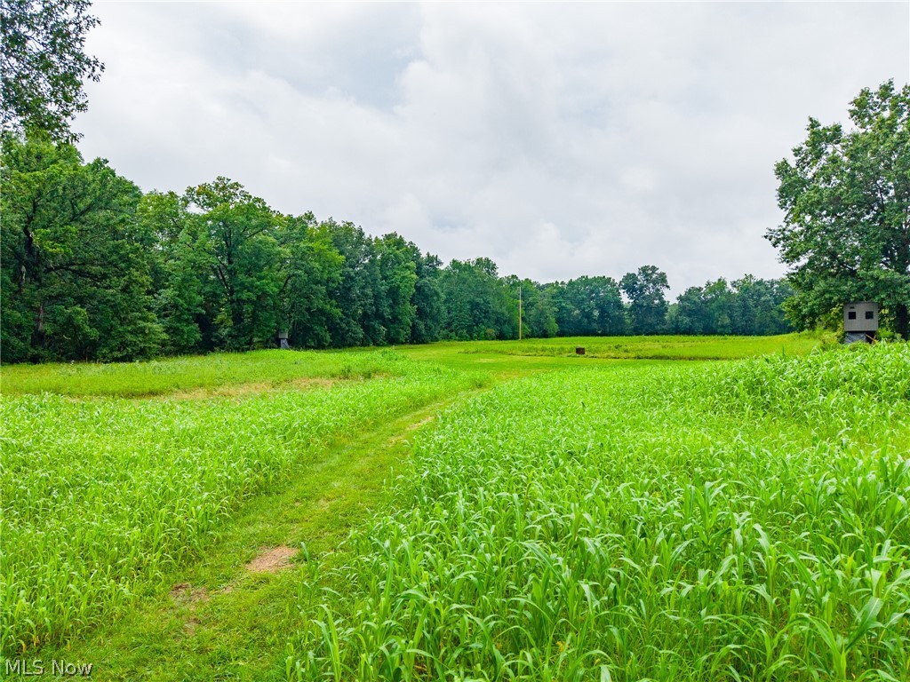 Pigeon Gap Road Property Photo 6