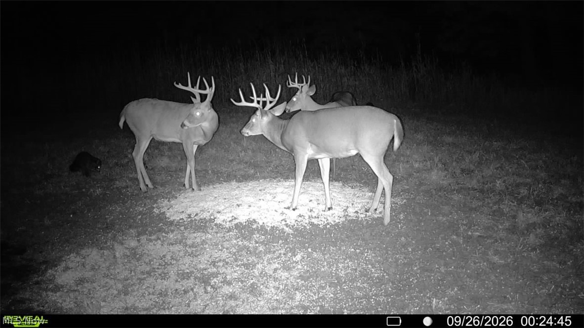 Pigeon Gap Road Property Photo 8