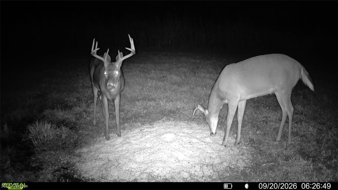 Pigeon Gap Road Property Photo 9