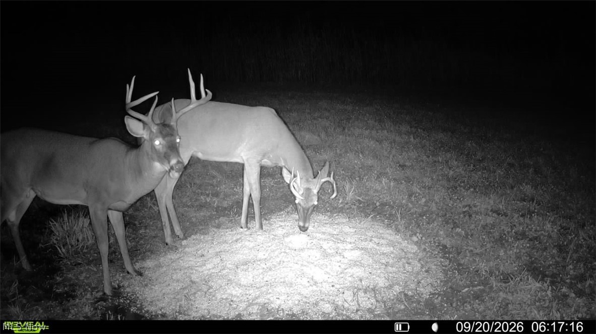 Pigeon Gap Road Property Photo 10
