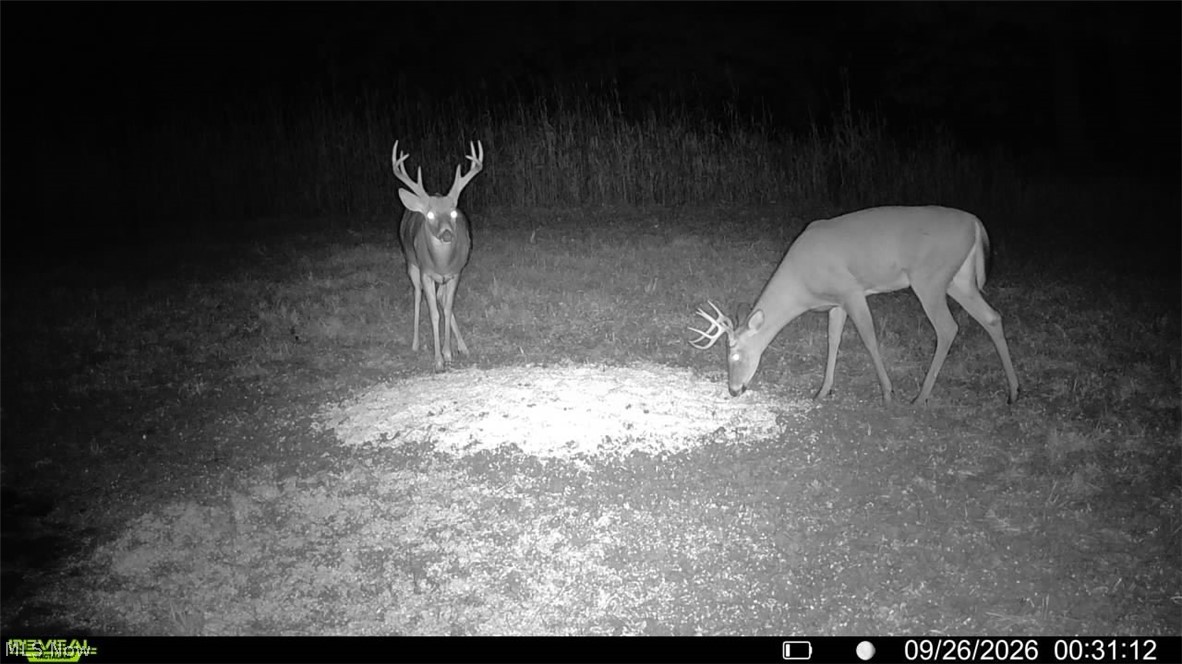 Pigeon Gap Road Property Photo 11
