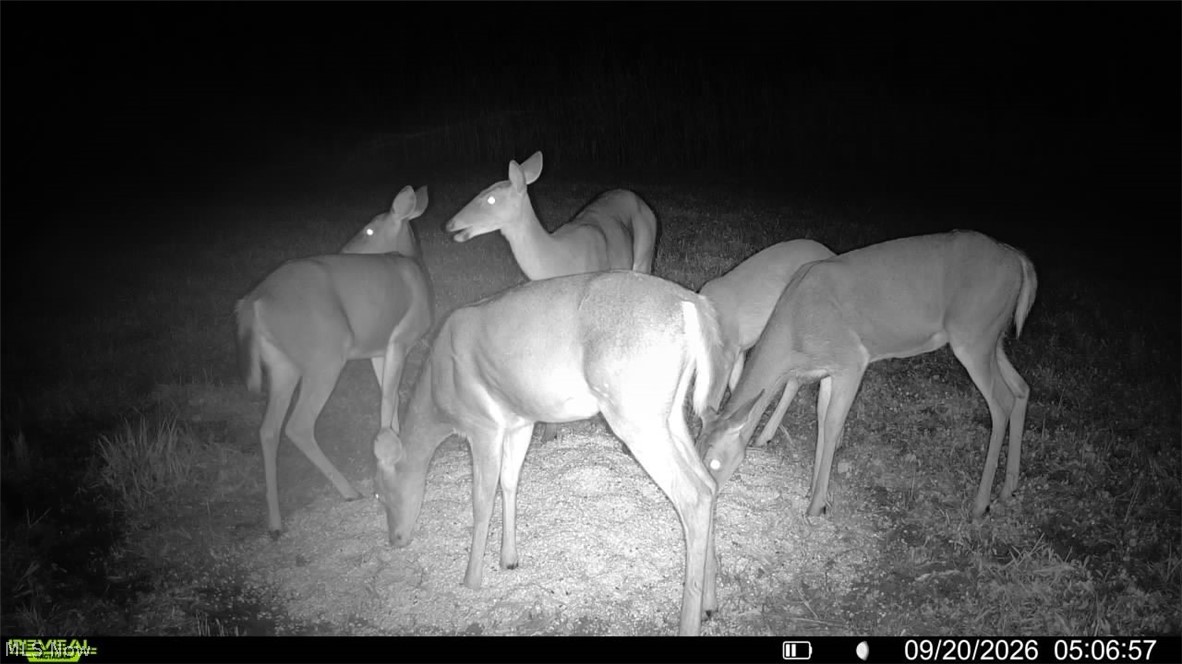 Pigeon Gap Road Property Photo 12
