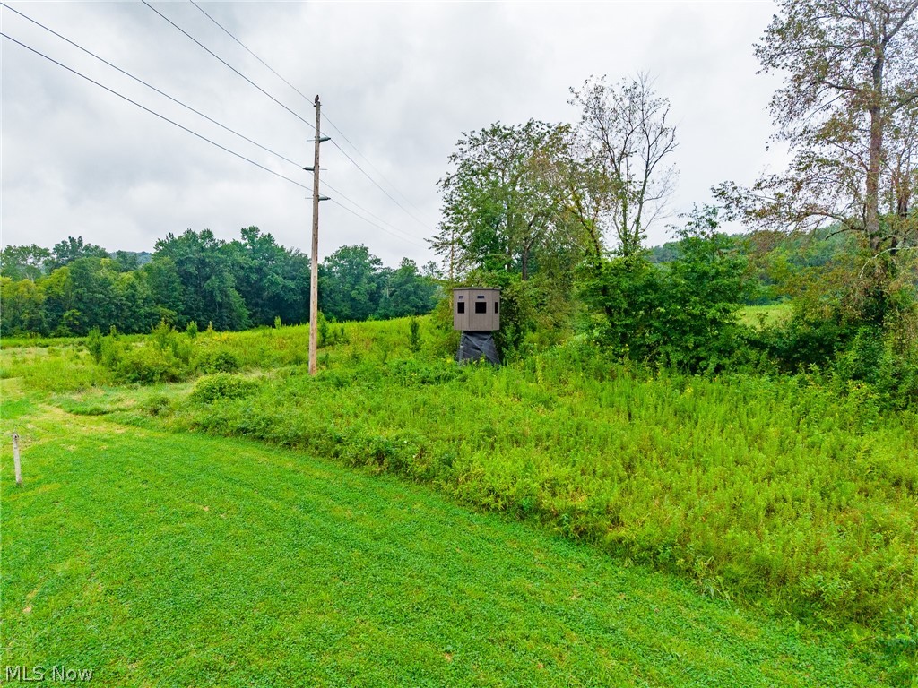 Pigeon Gap Road Property Photo 13