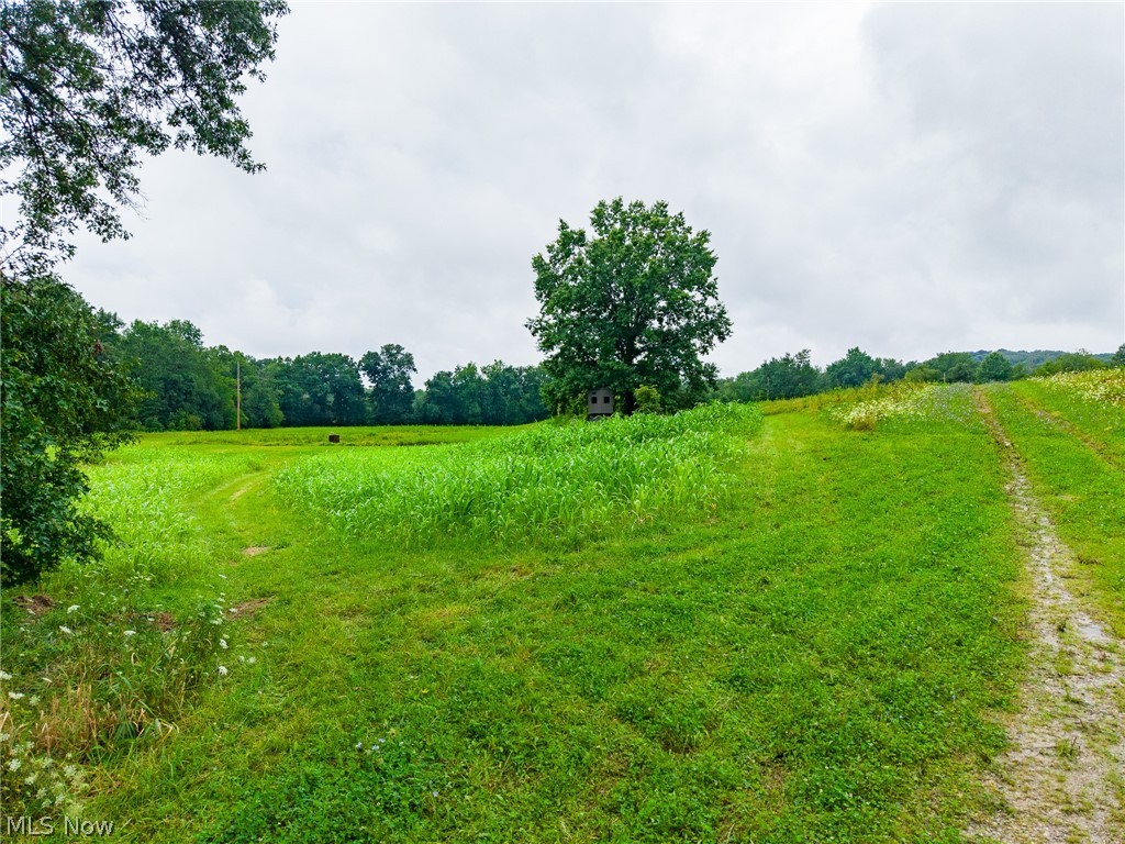 Pigeon Gap Road Property Photo 14