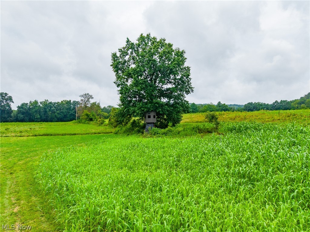 Pigeon Gap Road Property Photo 15