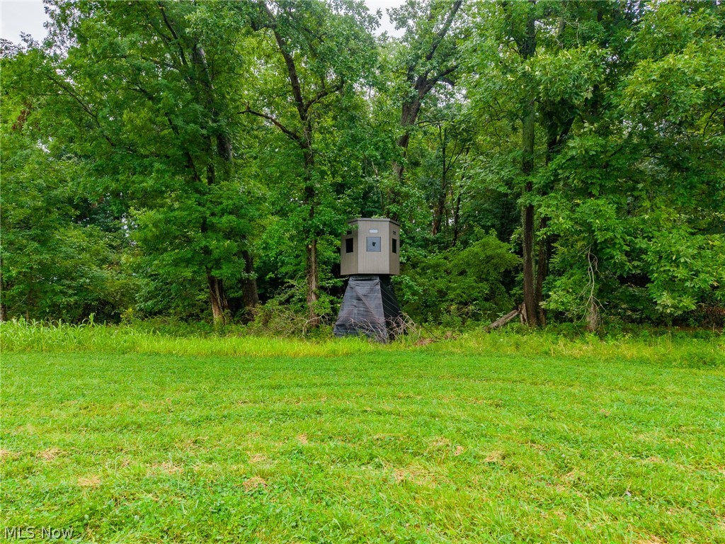 Pigeon Gap Road Property Photo 16