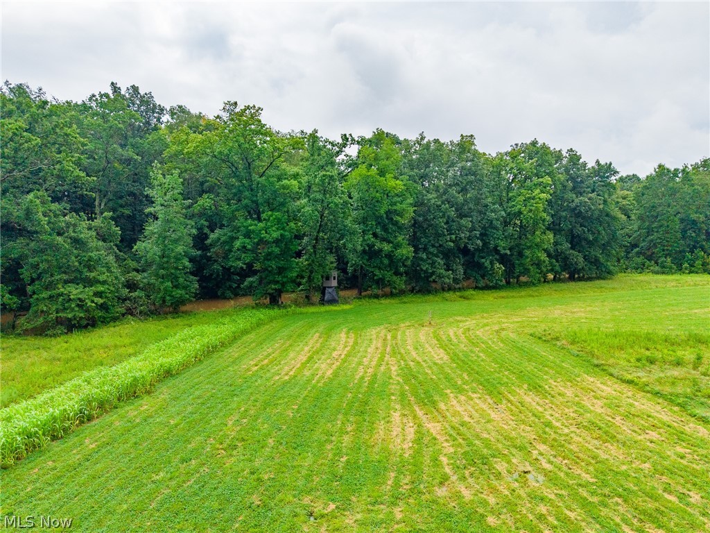 Pigeon Gap Road Property Photo 17