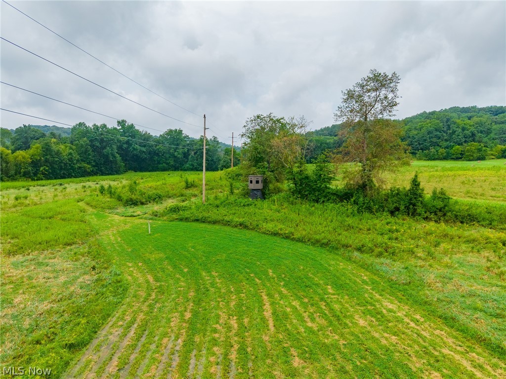 Pigeon Gap Road Property Photo 19