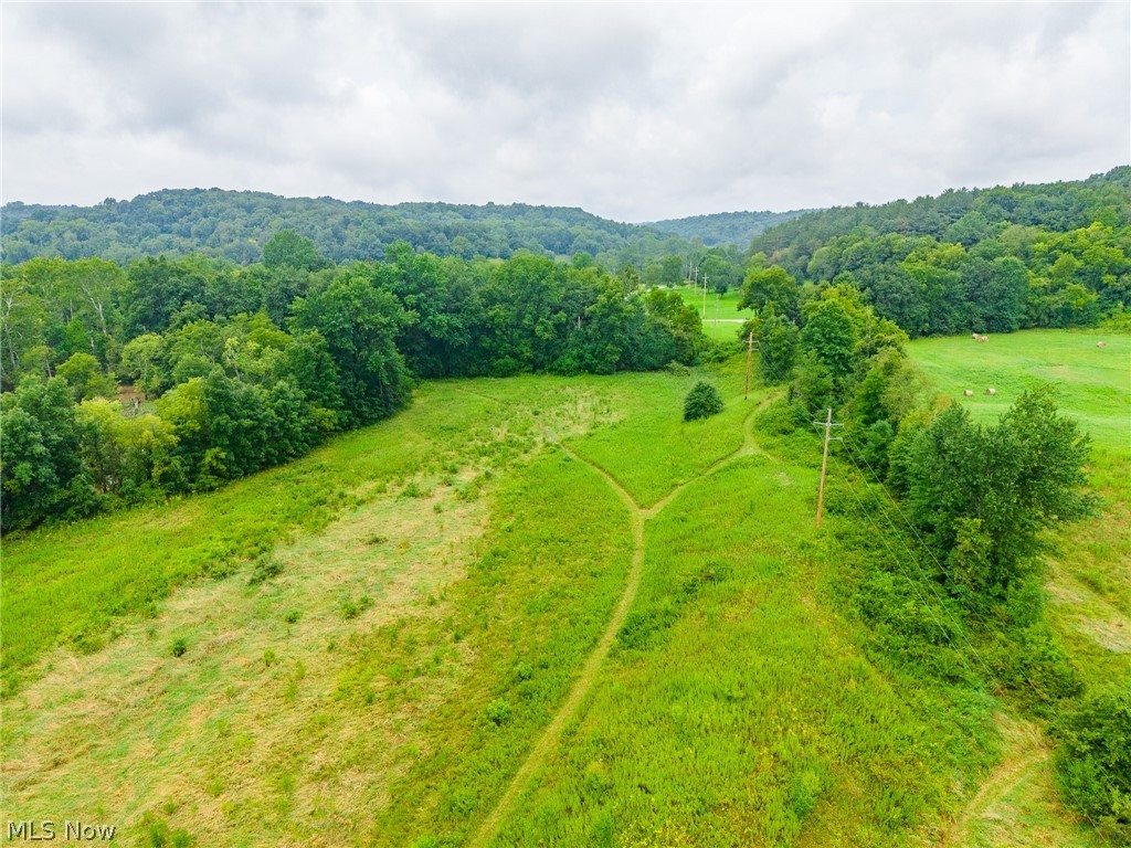 Pigeon Gap Road Property Photo 21