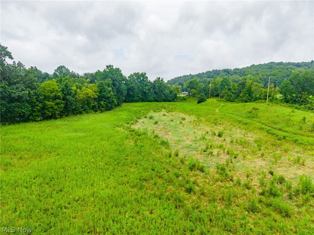 Pigeon Gap Road Property Photo 28