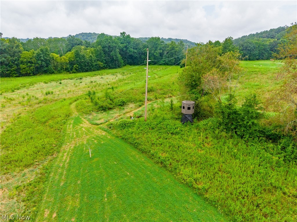 Pigeon Gap Road Property Photo 30