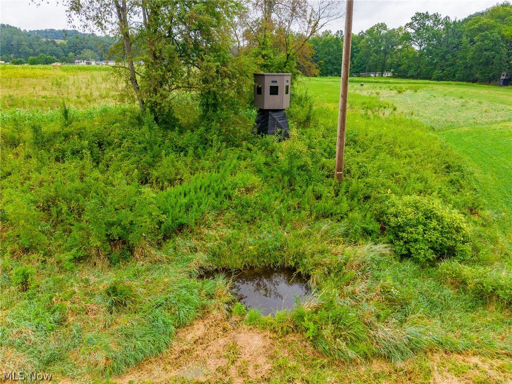 Pigeon Gap Road Property Photo 31