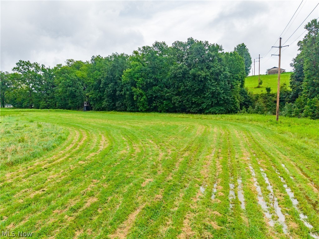 Pigeon Gap Road Property Photo 32