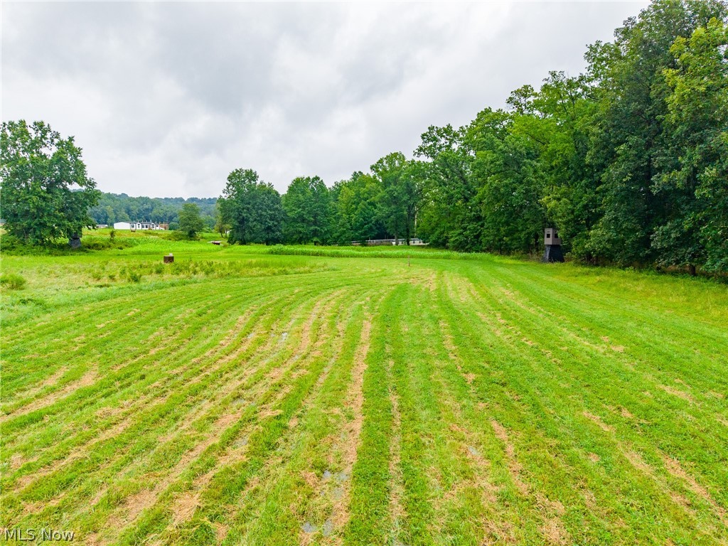 Pigeon Gap Road Property Photo 33
